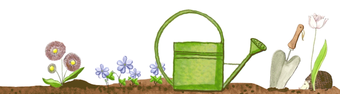 200221_GZ_Anim_Garten