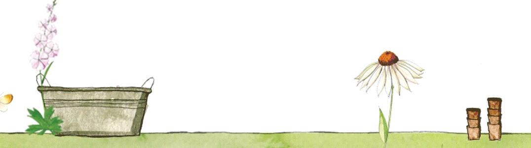 200301_GZ_Anim_Blumenwiese